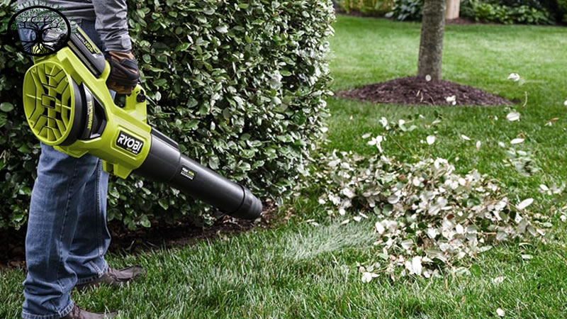 Garden Clearance | Garden clearance near me | Overgrown Garden Clearance
