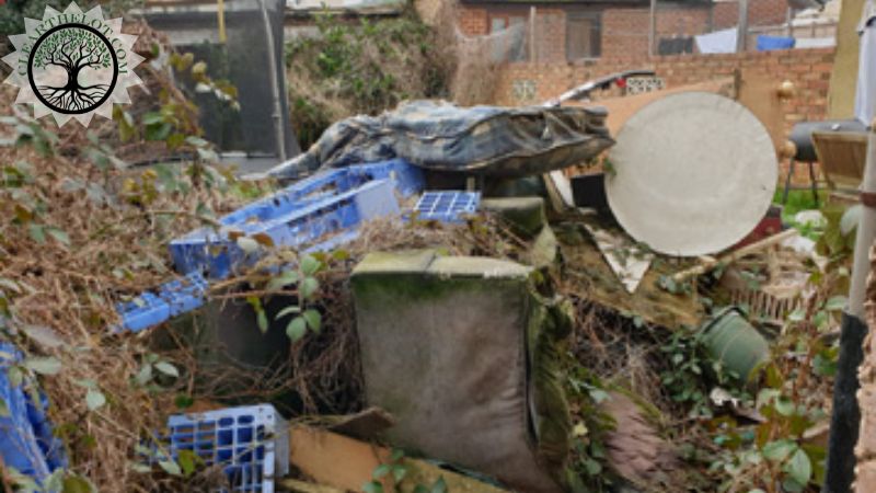 Garden Clearance | Garden clearance near me