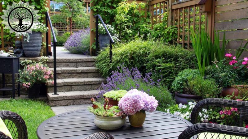 Garden Clearance | Garden clearance near me