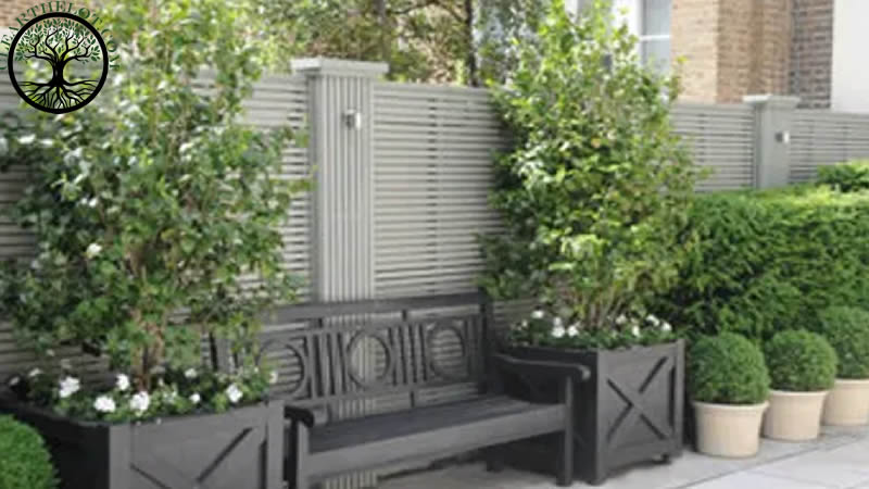 Garden Clearance | Garden clearance near me