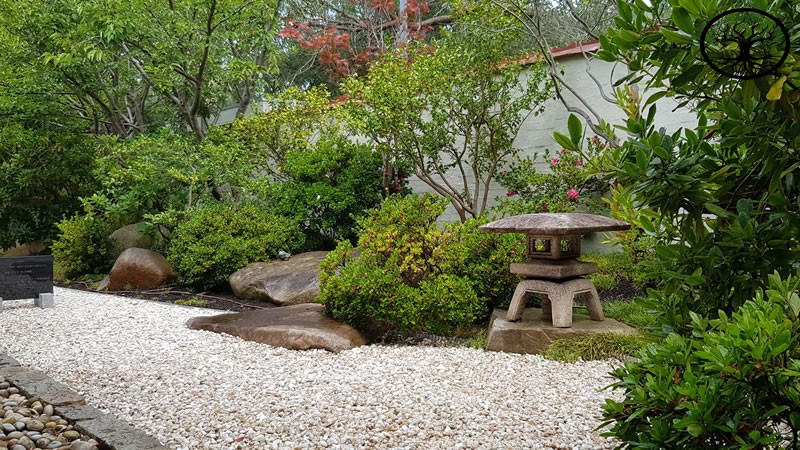 Garden Clearance | Garden clearance near me
