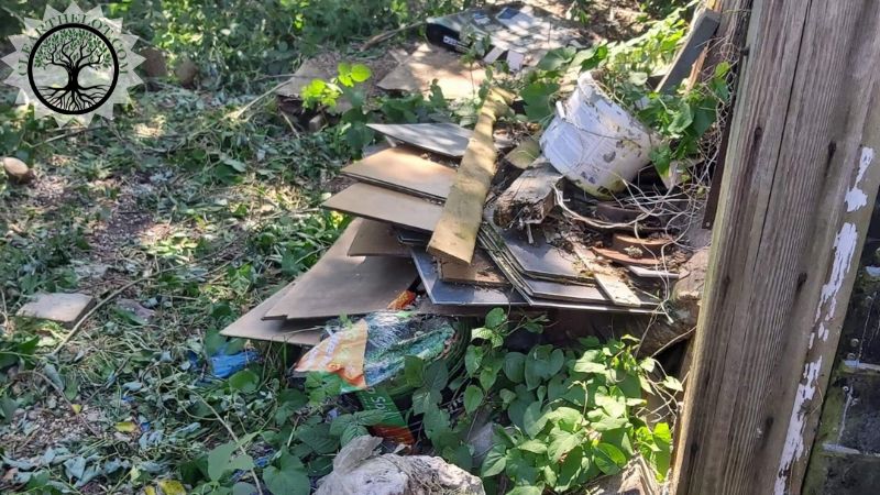 Garden Clearance | Garden clearance near me