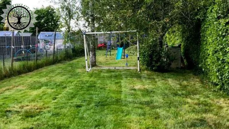 Garden Clearance | Garden clearance near me