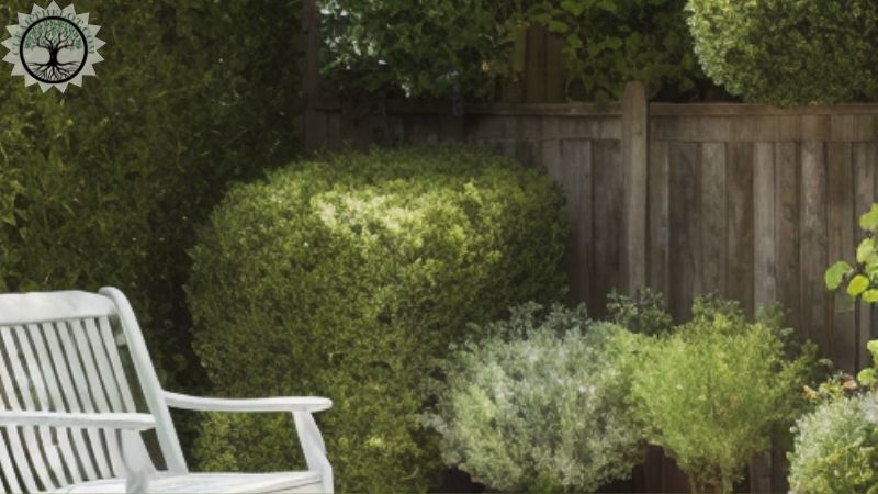 Garden Clearance | Garden Clearance near me | Yard Clearances