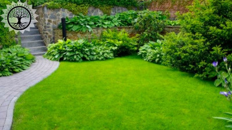 Garden Clearance | Garden clearance near me | Overgrown Garden Clearance
