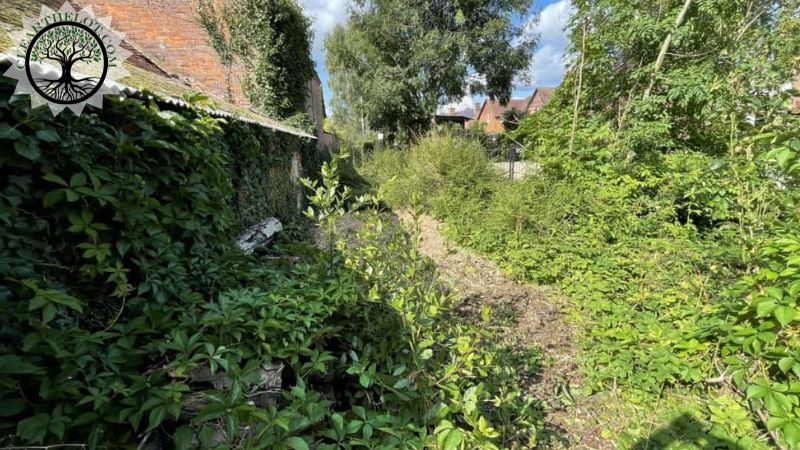 Garden Clearance | Garden clearance near me | Overgrown Garden Clearance