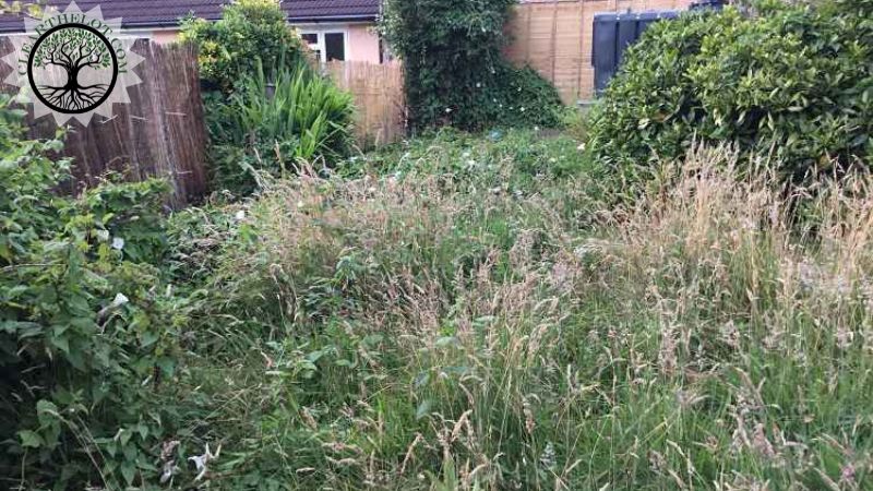 Garden Clearance | Garden clearance near me | Overgrown Garden Clearance