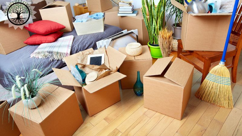 Garden Clearance | Garden clearance near me | Overgrown Garden Clearance | Overgrown Garden Clearance Cost | Overgrown Garden Clearance Near Me | Local Garden Clearance | Garden Clearance Cost