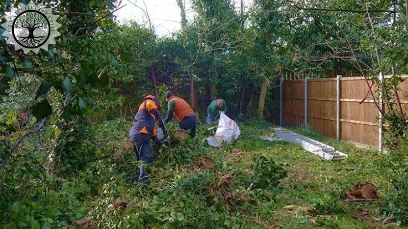 Garden Clearance | Garden clearance near me | Overgrown Garden Clearance | Overgrown Garden Clearance Cost | Overgrown Garden Clearance Near Me | Local Garden Clearance | Garden Clearance Cost