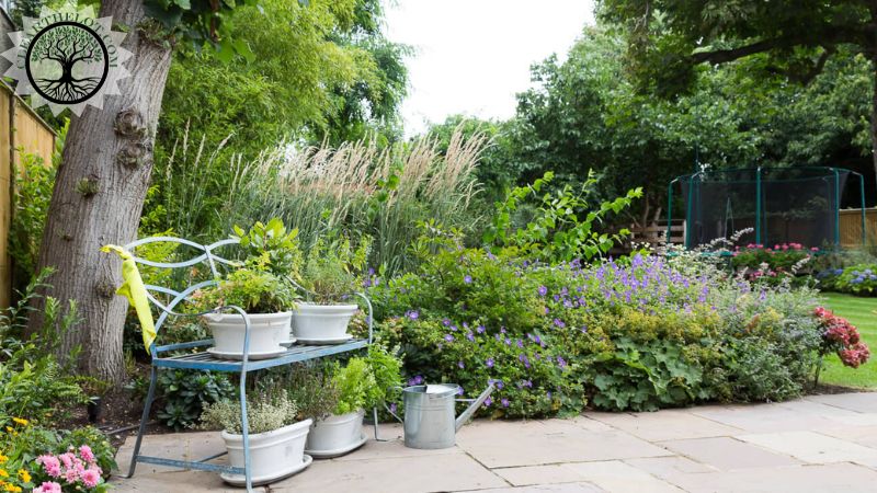 Garden Clearance | Garden clearance near me | Overgrown Garden Clearance | Overgrown Garden Clearance Cost | Overgrown Garden Clearance Near Me | Local Garden Clearance | Garden Clearance Cost