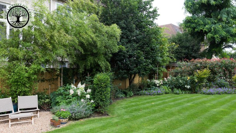 Garden Clearance | Garden clearance near me | Overgrown Garden Clearance | Overgrown Garden Clearance Cost | Overgrown Garden Clearance Near Me | Local Garden Clearance | Garden Clearance Cost