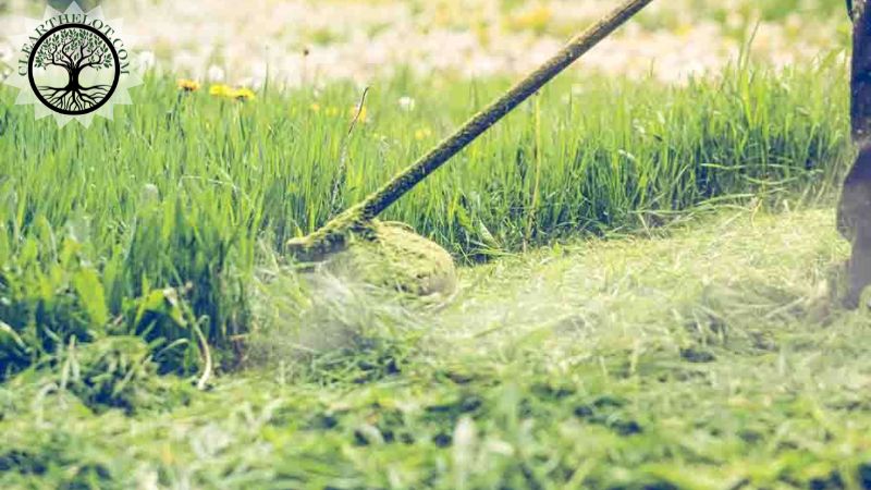 Garden Clearance | Garden clearance near me | Overgrown Garden Clearance | Overgrown Garden Clearance Cost | Overgrown Garden Clearance Near Me | Local Garden Clearance | Garden Clearance Cost
