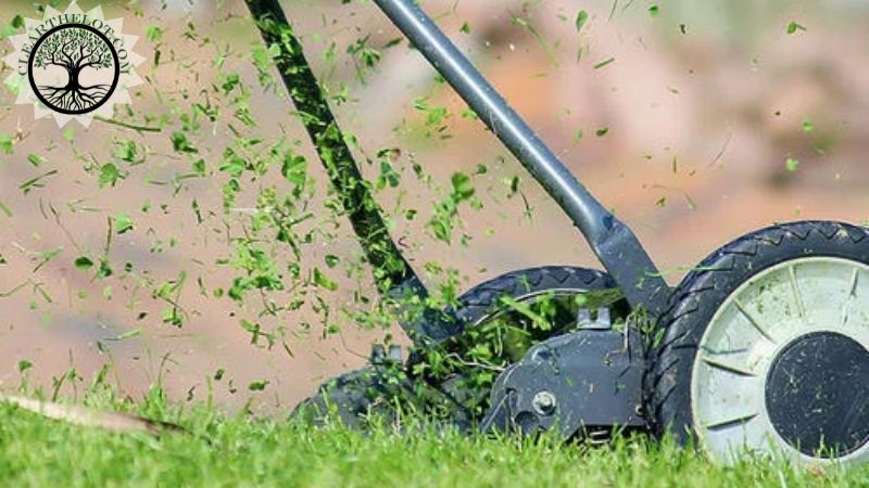 Garden Clearance | Garden clearance near me | Overgrown Garden Clearance | Overgrown Garden Clearance Cost | Overgrown Garden Clearance Near Me | Local Garden Clearance | Garden Clearance Cost
