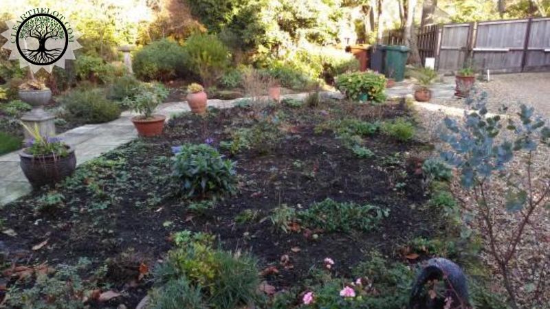 Garden Clearance | Garden clearance near me | Overgrown Garden Clearance | Overgrown Garden Clearance Cost | Overgrown Garden Clearance Near Me | Local Garden Clearance | Garden Clearance Cost
