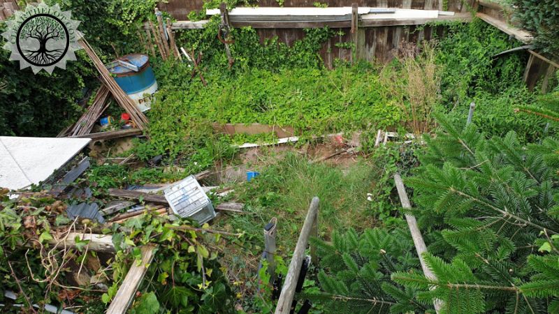 Garden Clearance | Garden clearance near me | Overgrown Garden Clearance | Overgrown Garden Clearance Cost | Overgrown Garden Clearance Near Me | Local Garden Clearance | Garden Clearance Cost