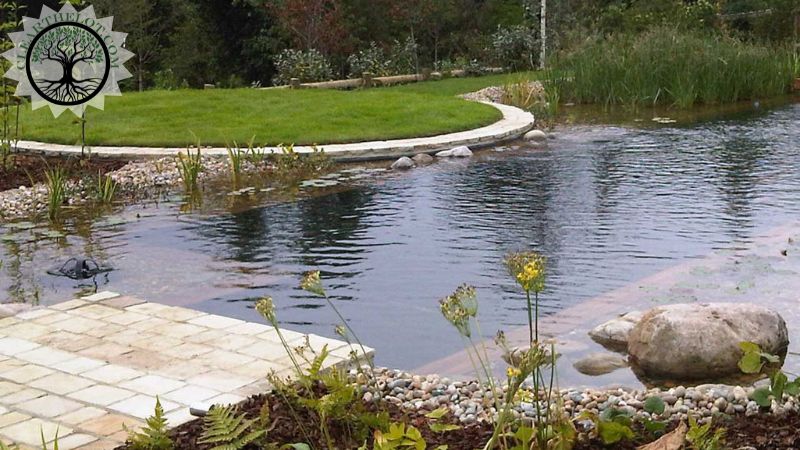 Garden Clearance | Garden clearance near me | Overgrown Garden Clearance