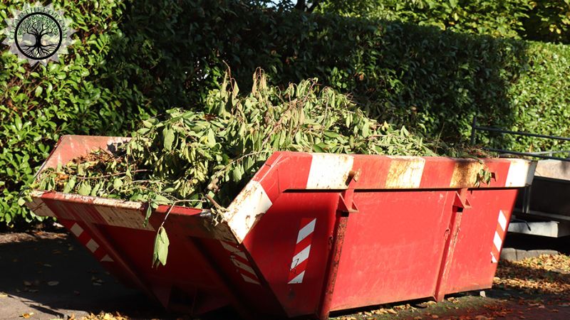Garden Clearance | Garden clearance near me | Overgrown Garden Clearance