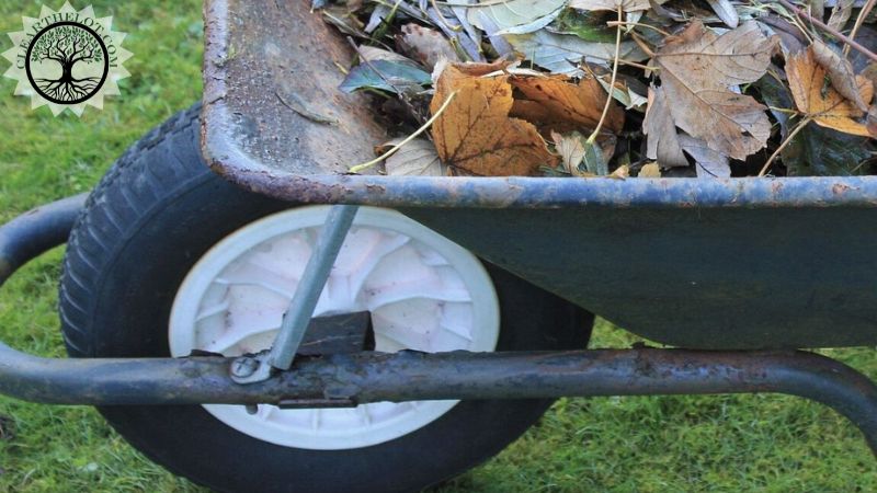 Garden Clearance | Garden clearance near me | Overgrown Garden Clearance | Overgrown Garden Clearance Cost | Overgrown Garden Clearance Near Me | Local Garden Clearance | Garden Clearance Cost