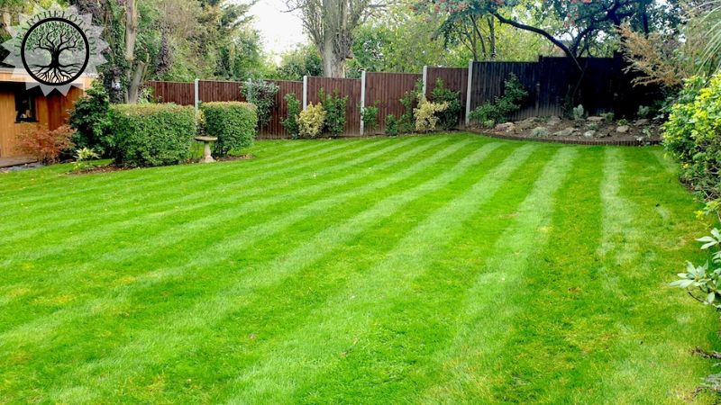 Garden Clearance | Garden clearance near me | Overgrown Garden Clearance | Overgrown Garden Clearance Cost | Overgrown Garden Clearance Near Me | Local Garden Clearance | Garden Clearance Cost