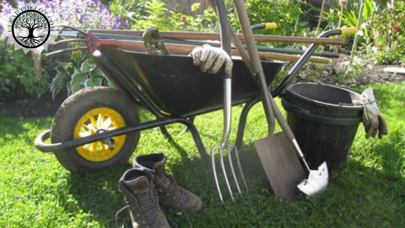 Garden Clearance | Garden clearance near me | Overgrown Garden Clearance | Overgrown Garden Clearance Cost | Overgrown Garden Clearance Near Me | Local Garden Clearance | Garden Clearance Cost