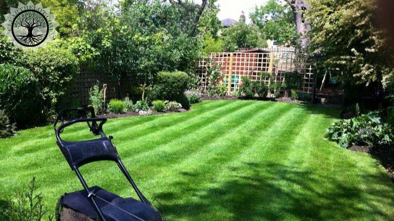 Garden Clearance | Garden clearance near me | Overgrown Garden Clearance | Overgrown Garden Clearance Cost | Overgrown Garden Clearance Near Me | Local Garden Clearance | Garden Clearance Cost