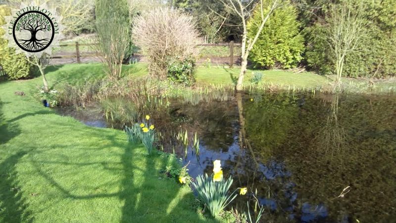 Garden Clearance | Garden clearance near me | Overgrown Garden Clearance