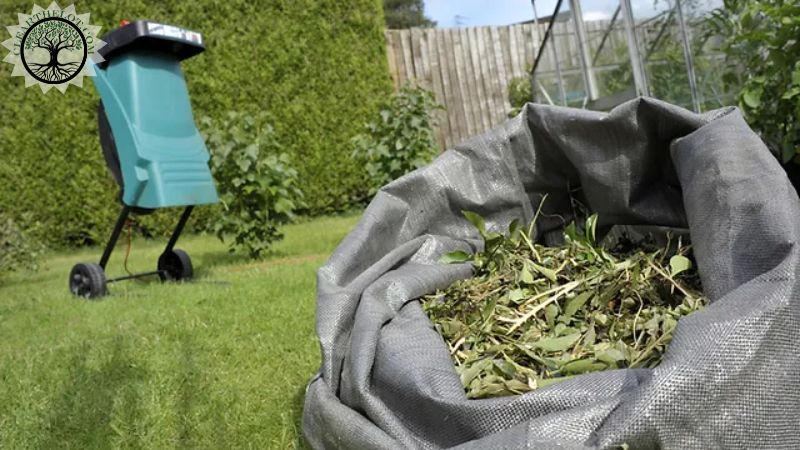 Garden Clearance | Garden clearance near me | Overgrown Garden Clearance