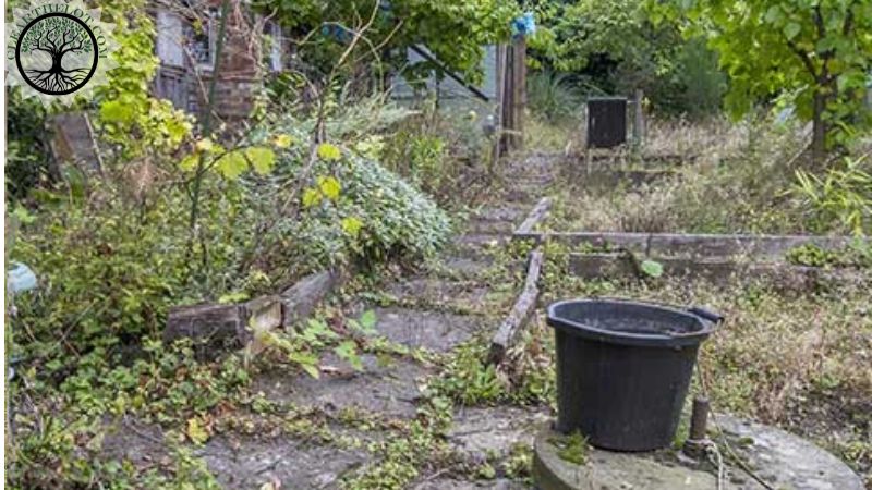 Garden Clearance | Garden clearance near me | Overgrown Garden Clearance | Overgrown Garden Clearance | Overgrown Garden Clearance Near Me | Local Garden Clearance | Garden Clearance Cost