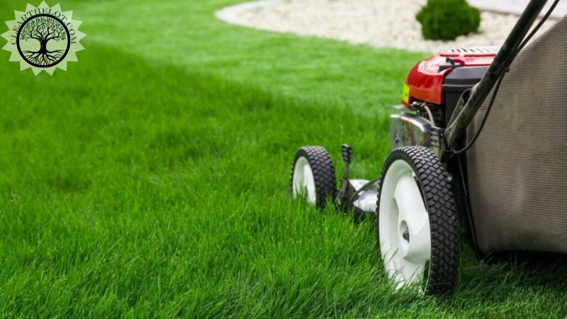 Garden Clearance | Garden clearance near me | Overgrown Garden Clearance | Overgrown Garden Clearance Cost | Overgrown Garden Clearance Near Me | Local Garden Clearance | Garden Clearance Cost