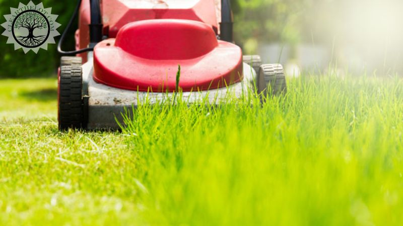 Garden Clearance | Garden clearance near me | Overgrown Garden Clearance | Overgrown Garden Clearance Cost | Overgrown Garden Clearance Near Me | Local Garden Clearance | Garden Clearance Cost