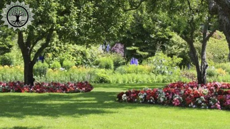 Garden Clearance | Garden clearance near me | Overgrown Garden Clearance