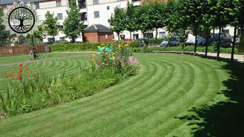 Garden Clearance | Garden clearance near me