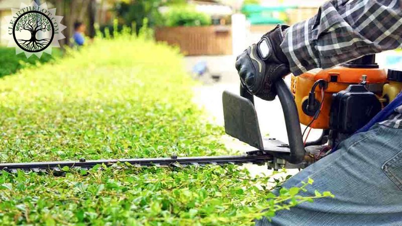 Garden Clearance | Garden clearance near me