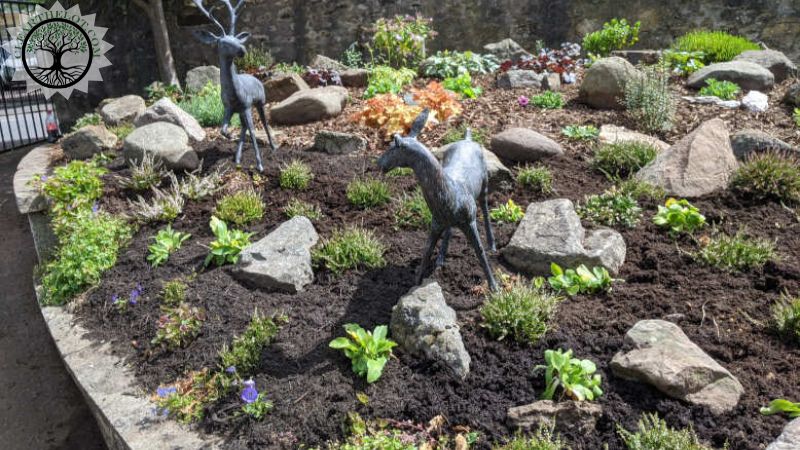 Garden Clearance | Garden clearance near me