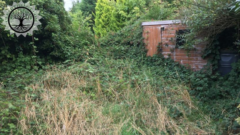 Garden Clearance | Garden clearance near me