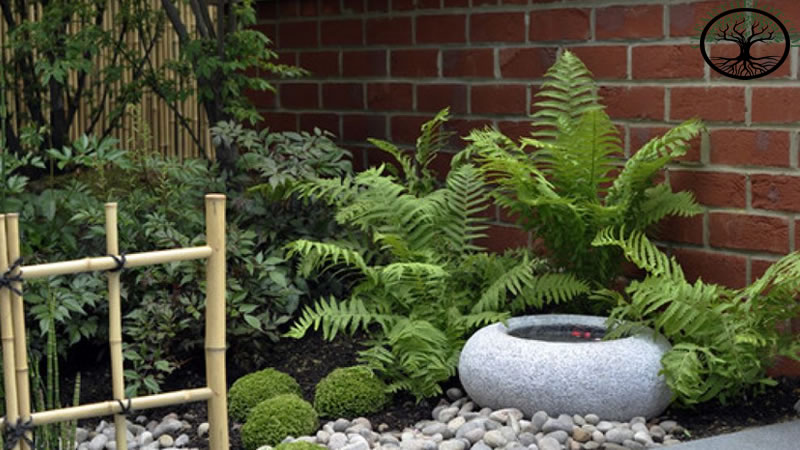 Garden Clearance | Garden clearance near me | Overgrown Garden Clearance