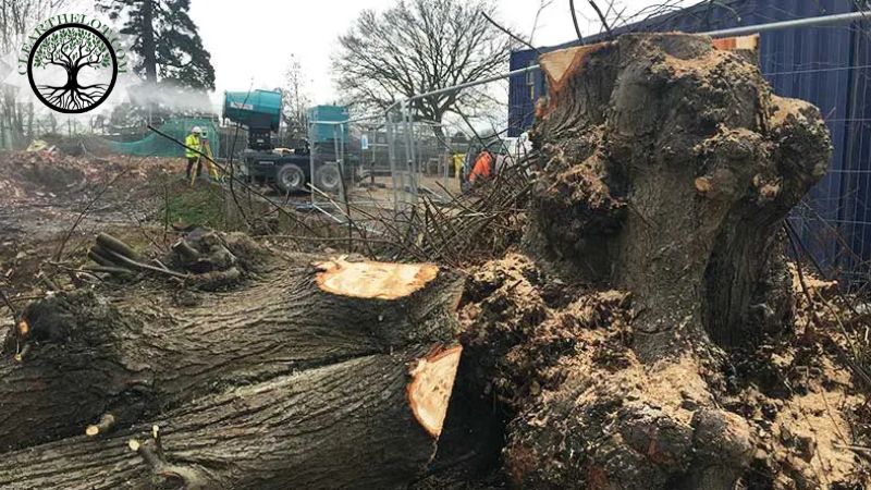 Garden Clearance | Garden clearance near me