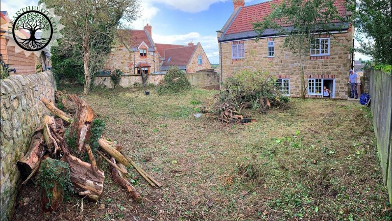 Garden Clearance | Garden clearance near me