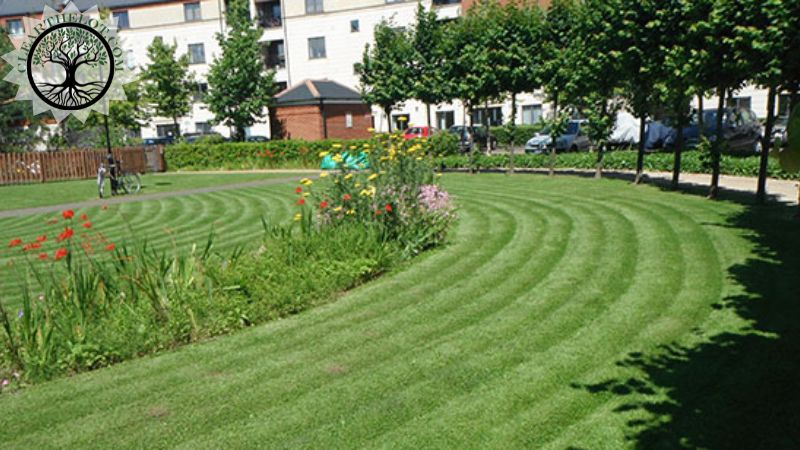 Garden Clearance | Garden clearance near me