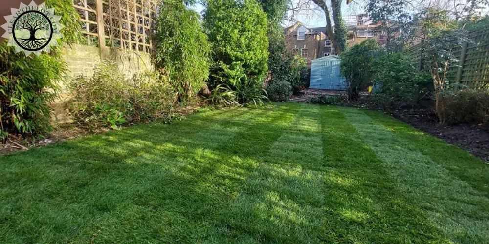 Garden Clearance | Garden clearance near me
