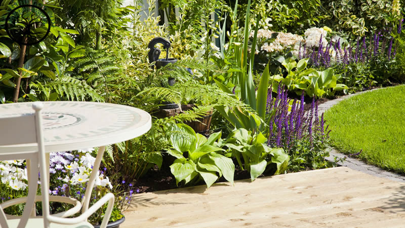 Garden Clearance | Garden clearance near me