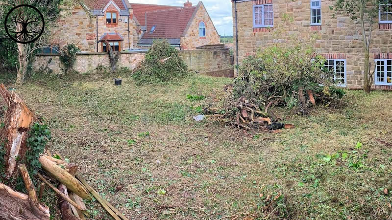 Garden Clearance | Garden clearance near me