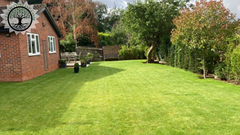 Garden Clearance | Garden clearance near me