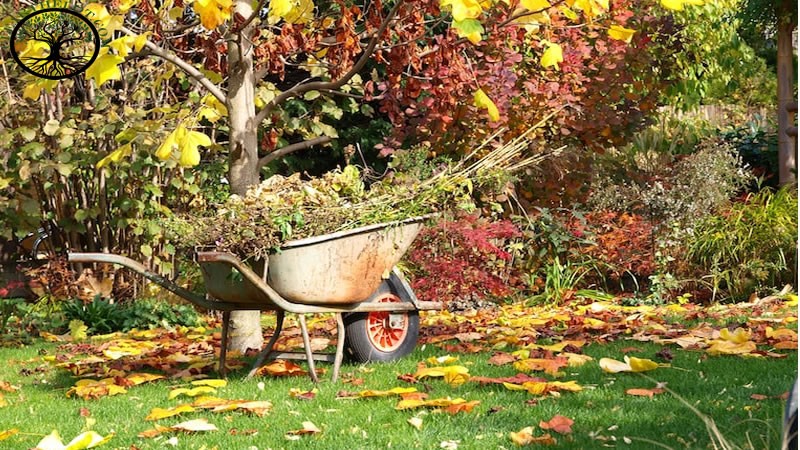 Garden Clearance | Garden clearance near me