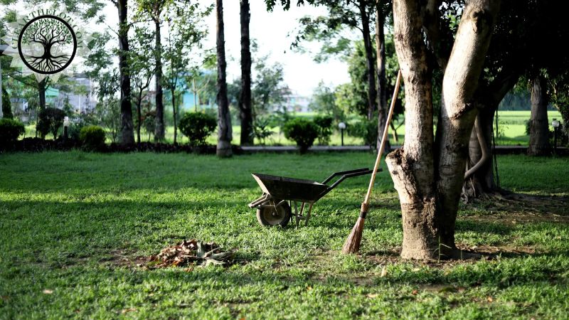 Garden Clearance | Garden clearance near me