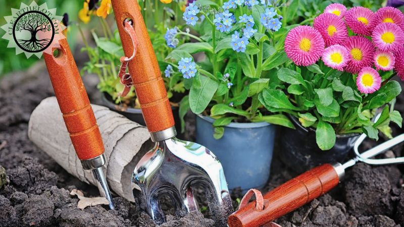 Garden Clearance | Garden clearance near me