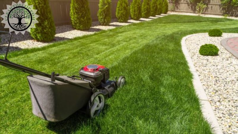 Garden Clearance | Garden clearance near me | Overgrown Garden Clearance