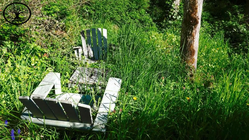 Garden Clearance | Garden clearance near me