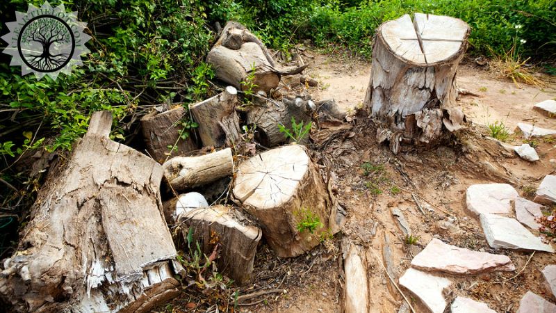 Garden Clearance | Garden clearance near me