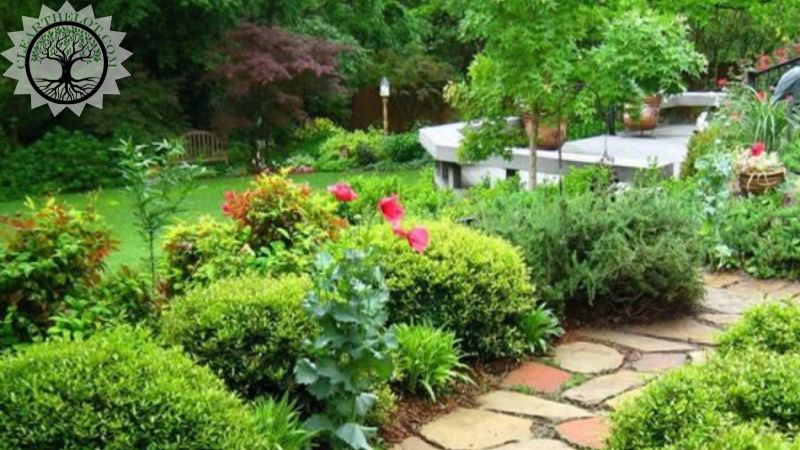 Garden Clearance | Garden clearance near me